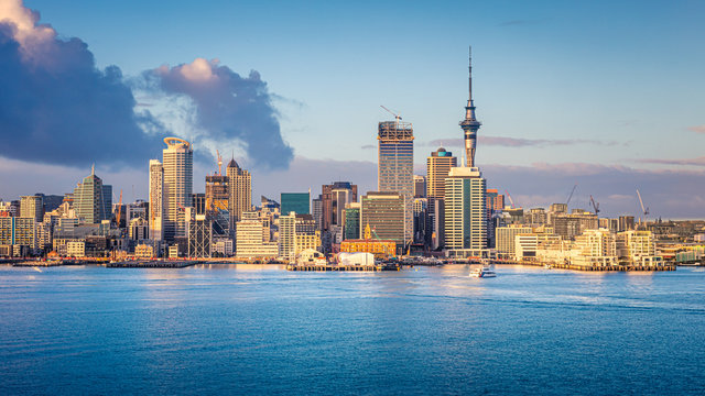 Mould testing in Auckland & Northland