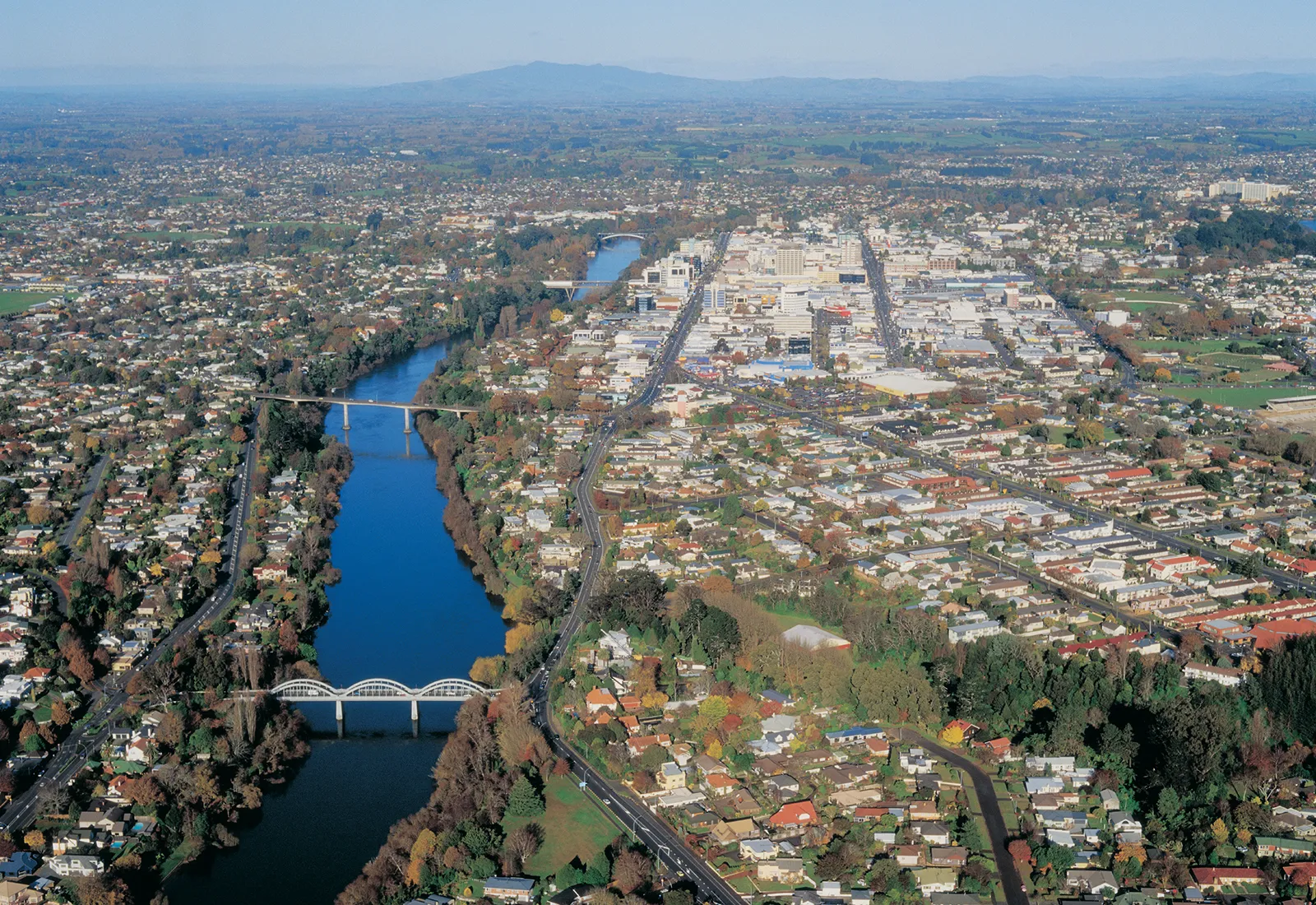Mould testing in Hamilton & Waikato