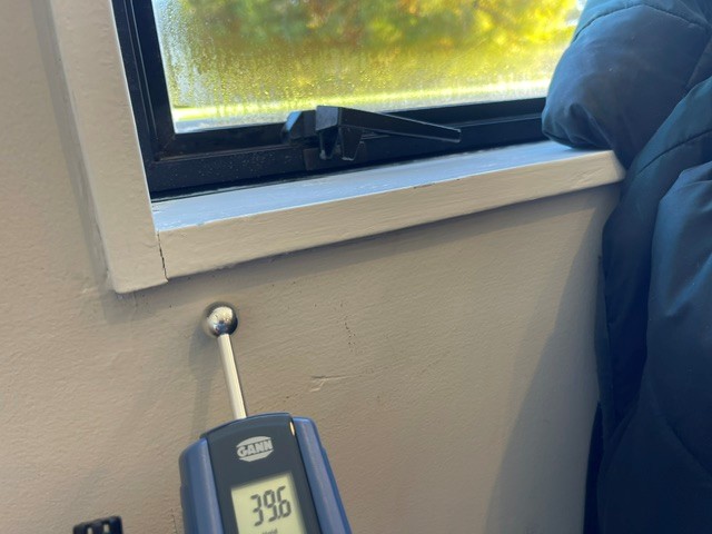 Moisture & damp assessment